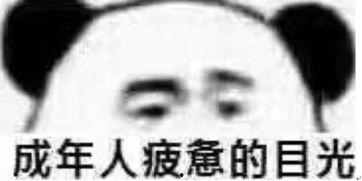 娱乐吃瓜酱熬夜视频,娱乐吃瓜酱带你领略深夜娱乐盛宴